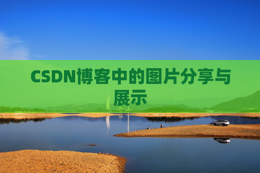 CSDN博客中的图片分享与展示